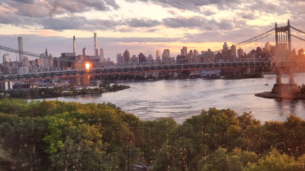 ny1